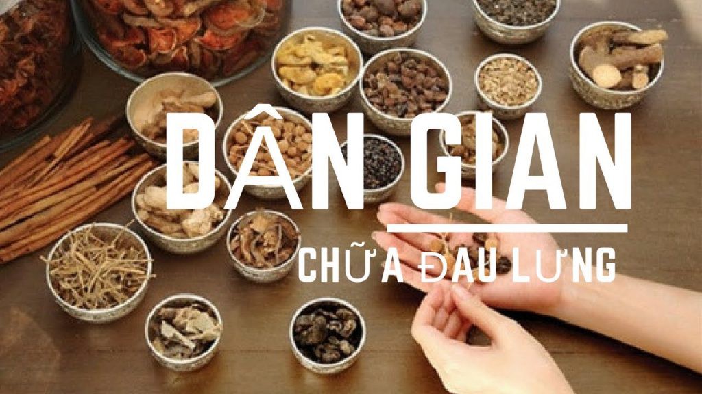 Bài thuốc chữa đau lưng từ cây thuốc Nam dân gian cùng Đông y