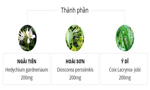 Đại tràng Phương Đông có tốt không? Giá thuốc và công dụng, liều dùng Đại tràng Phương Đông có tốt không? Giá thuốc và công dụng, liều dùng